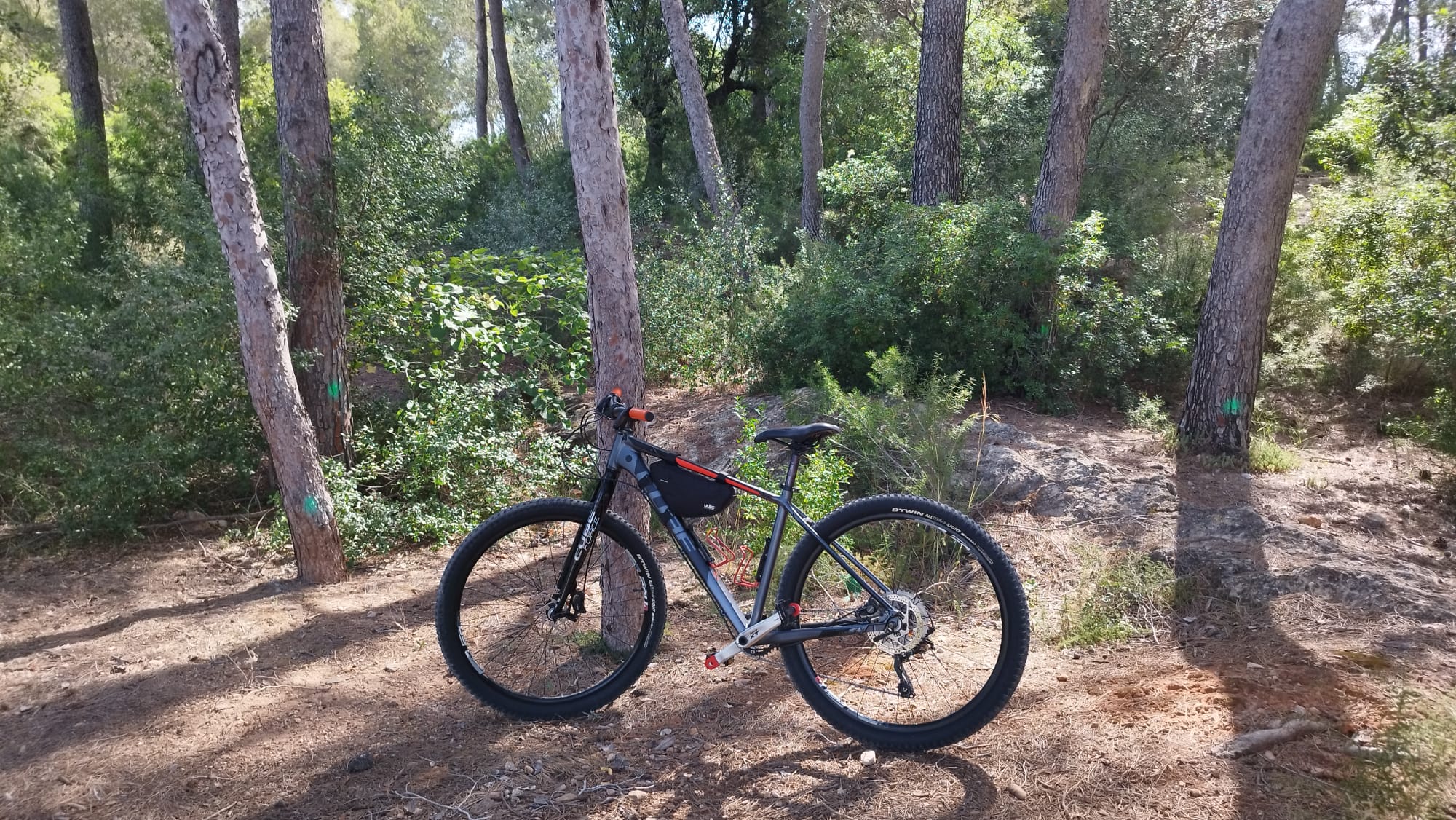 Bicicleta de BTT para gravel